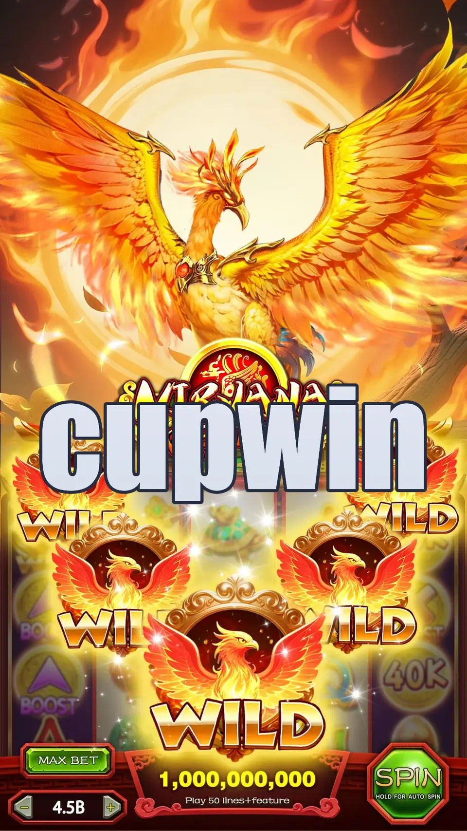 cupwin Login